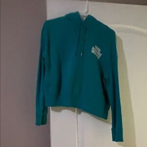 The North Face Hoodie Teal